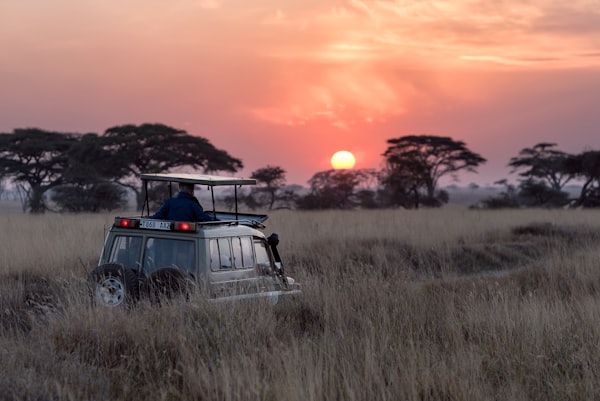 Luxury Safari in Botswana